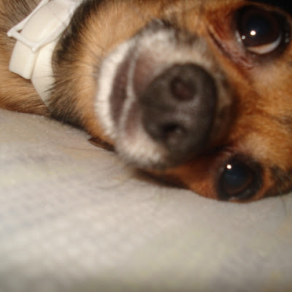 Meet your Posher, Maria v